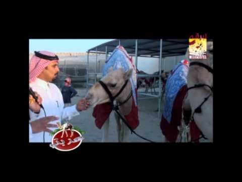 عزبة/ على سعيد حلفان المري