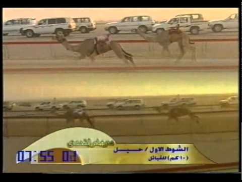 أمواج/ صالح حمد القمرا المري ( الشلفة الفضية للحيل ) درهام التحدي عام -ت ١٢-٥-٢٠٠٧ -ت ١٦:٢٩:١٥