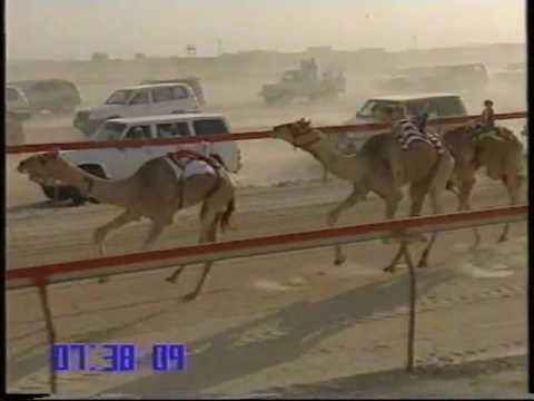 الدرعية لـ زايد محمد زايد الخيارين – مهرجان درهام التحدي 16/5/2006 – جذاع بكار قبائل 9:30:09