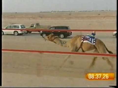 كيف لـ راشد حمد راشد غدير – مهرجان درهام التحدي 20/5/2008 – الشلفة الفضية حيل قبائل 16:46:12