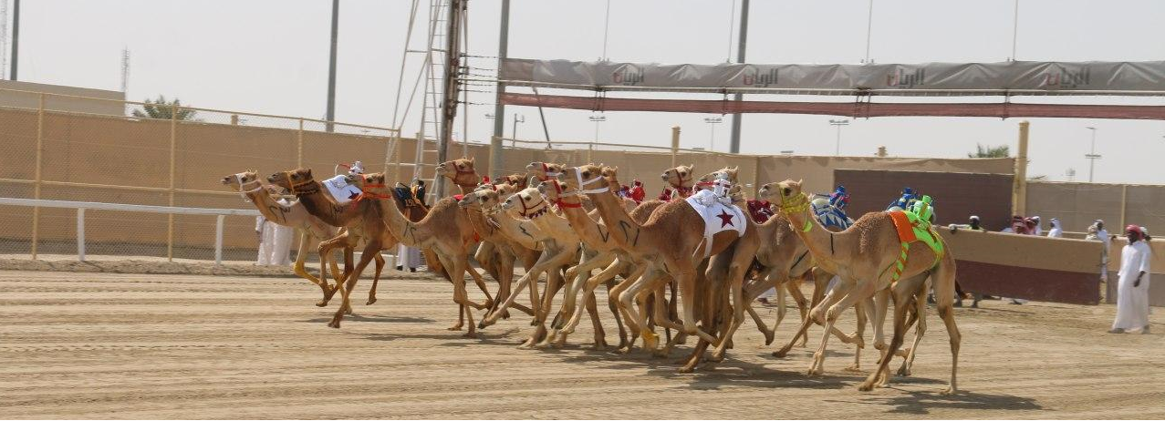 إضافة 10 أشواط جديدة بالسباق المحلي الأول