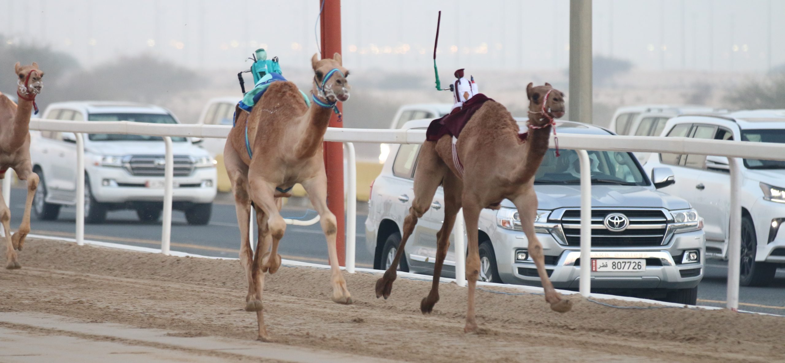 النعيمي والحنزاب يسيطران على ناموسي الحقايق إنتاج بالمحلي الرابع