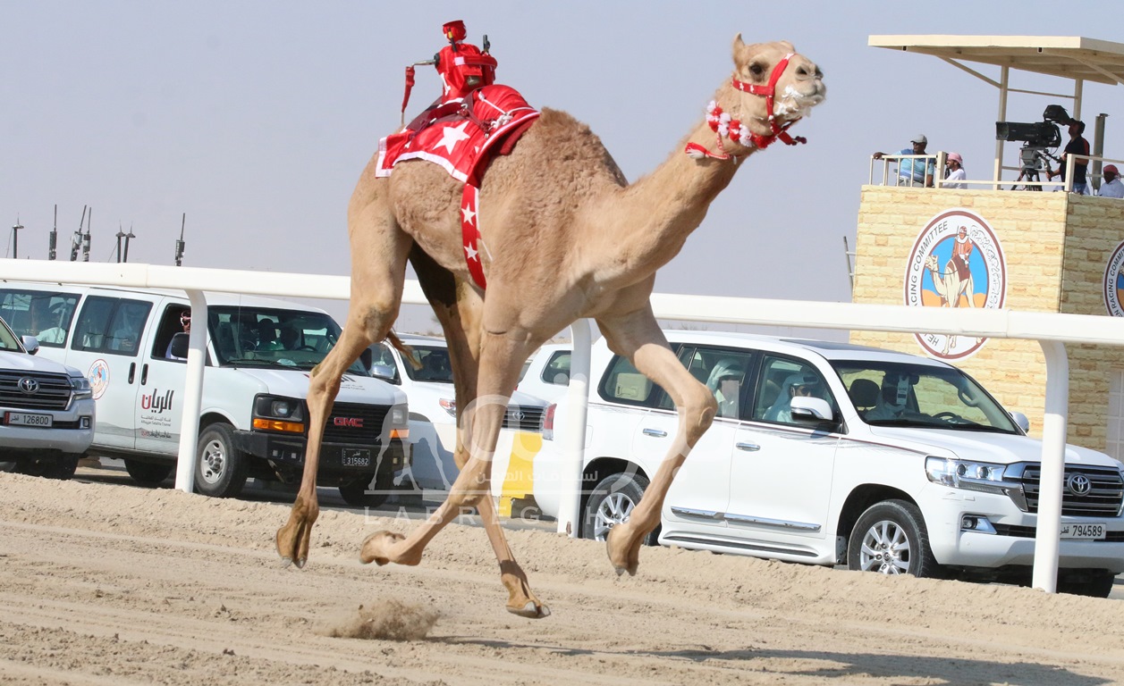 أشواط السيارات تشعل منافسات الحقايق بميدان التحدي