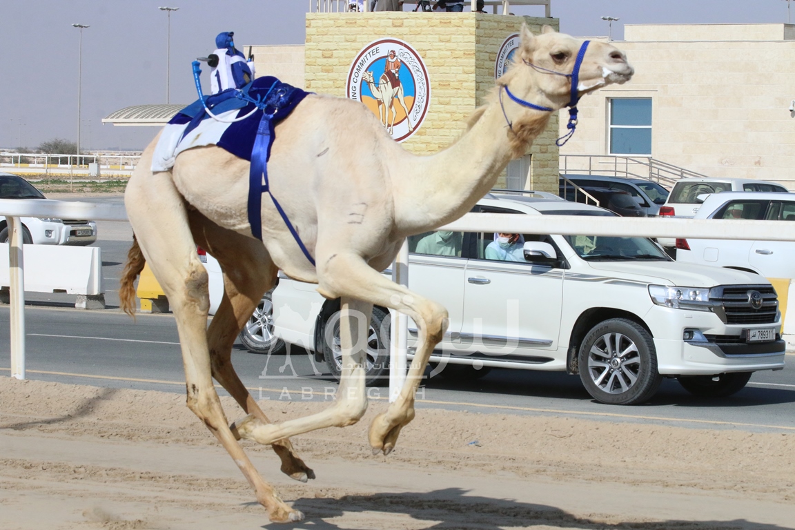 “شرارة” للمرقاب تشعل أجواء ميدان الشحانية وتحلق بأقوى الرموز