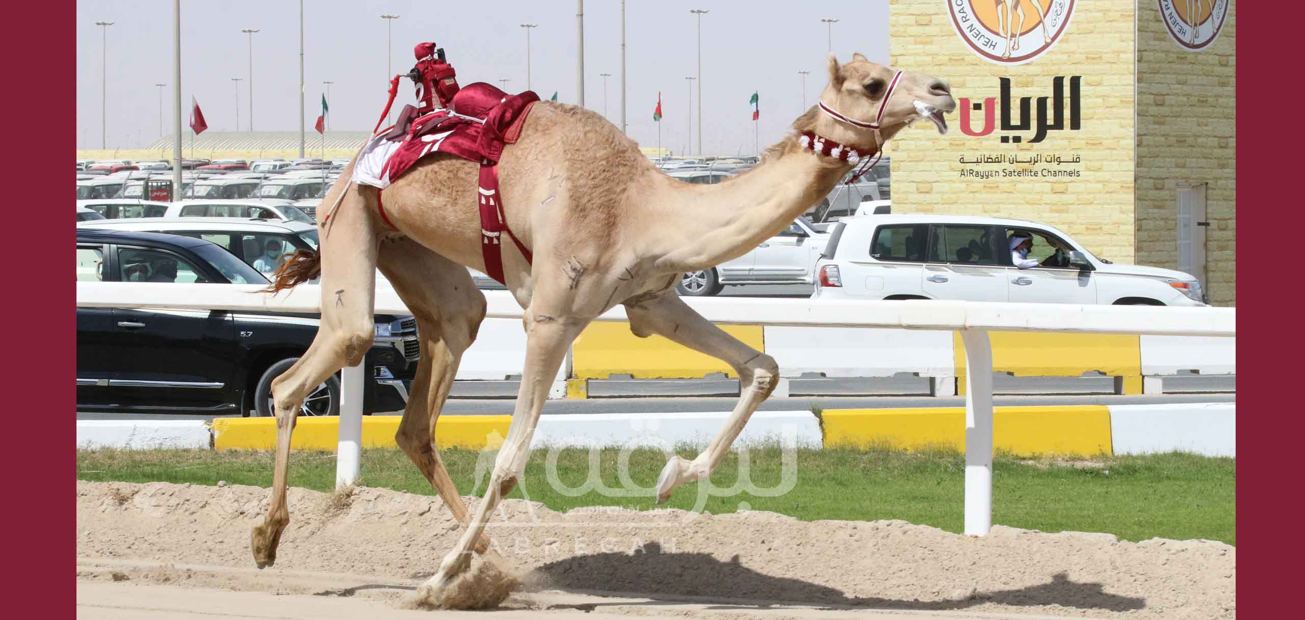 شعارات أبناء الشحانية تسيطر على رموز الثنايا الفضية