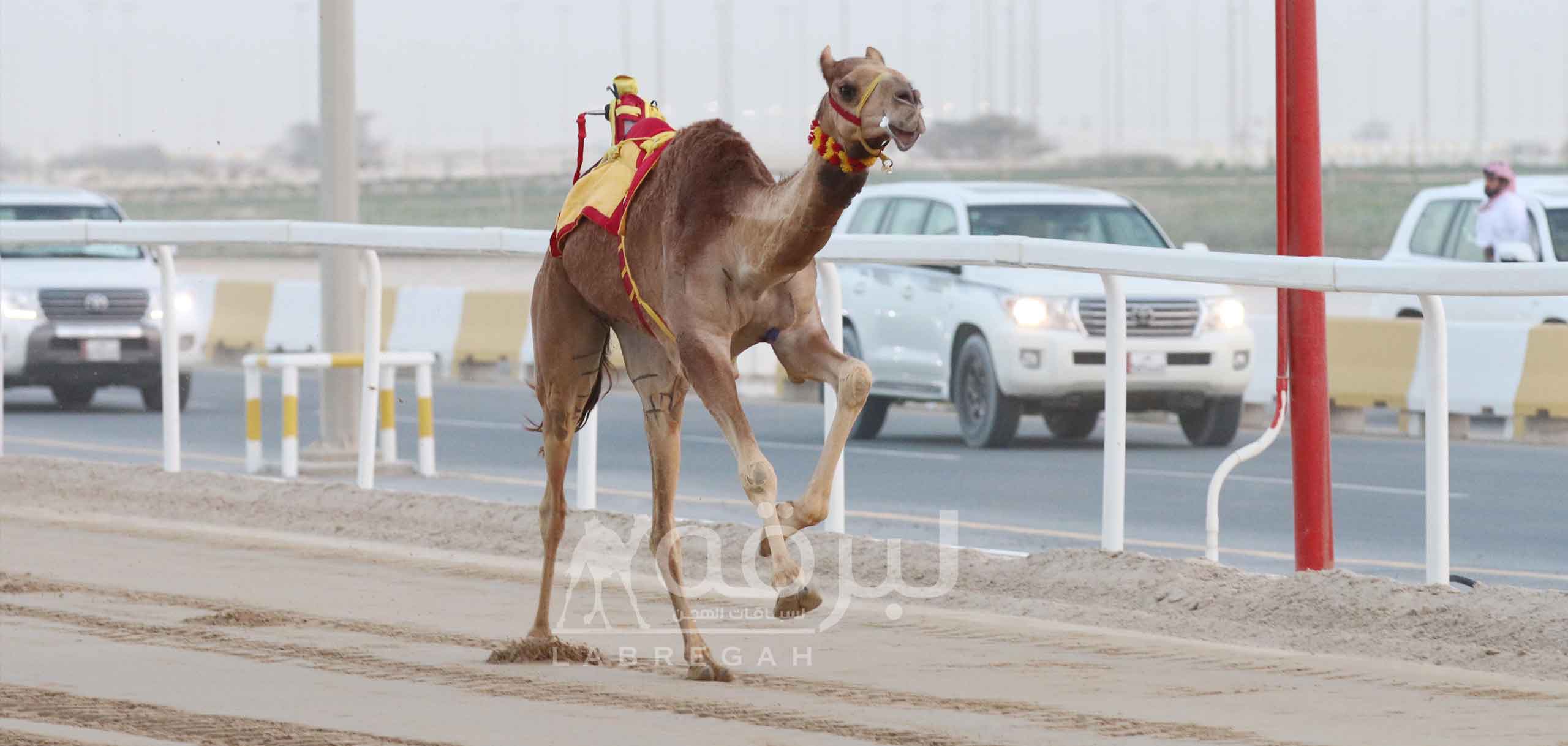 “الجازي” لطالب المري نجمة الجذاع إنتاج.. و”هياض” لسهيل الحفار بطلاً للقعدان
