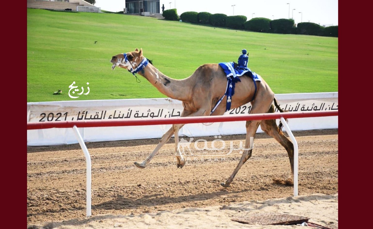 بن حموده الظاهري يحلق بأقوى رموز الثنايا