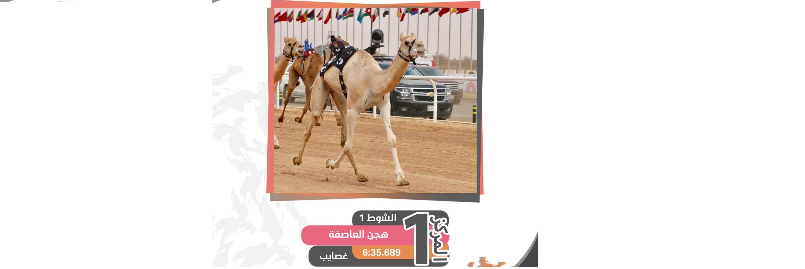 هجن العاصفة تسيطر على ناموسي اللقايا مفتوح