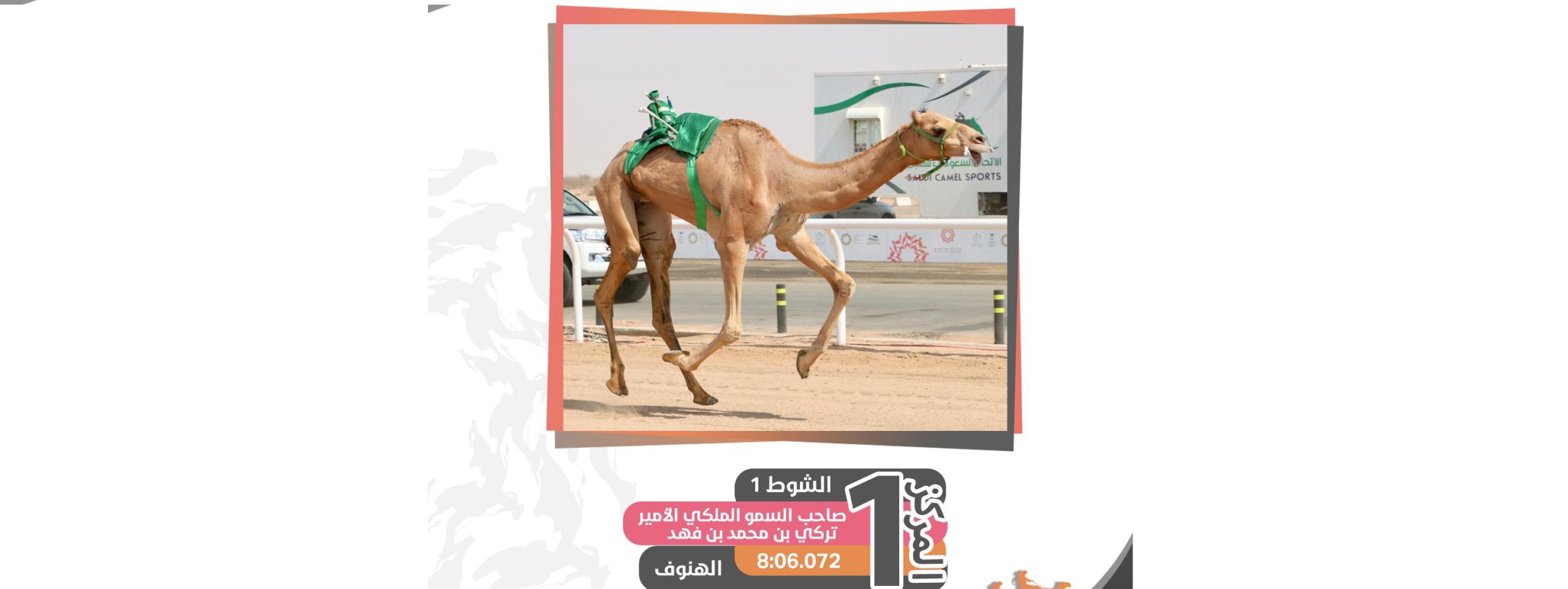 بختام منافسات الثنايا.. شعار الأمير تركي بن محمد يتربع على عرش البكار مفتوح