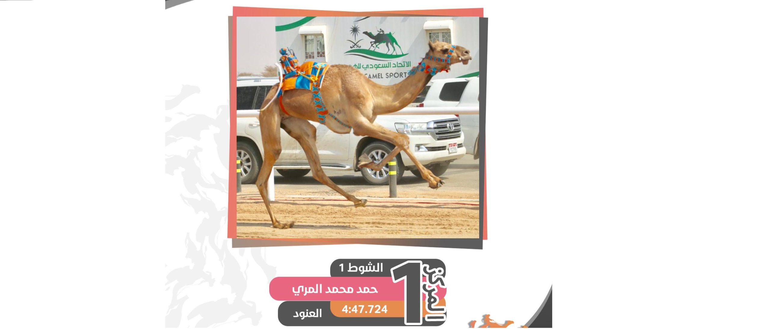 شعار آل صافيه يظفر بناموسي الحقايق عام