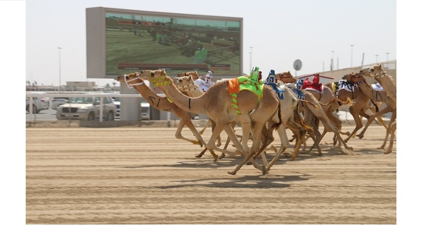 4 سبتمبر.. انطلاقة المحلي الأول بالشحانية