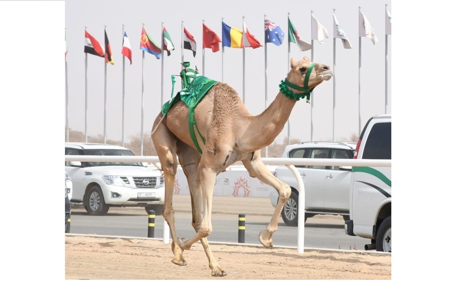 “عز” تهدي صاحب السمو الملكي الأمير تركي بن محمد ناموس الحيل مفتوح