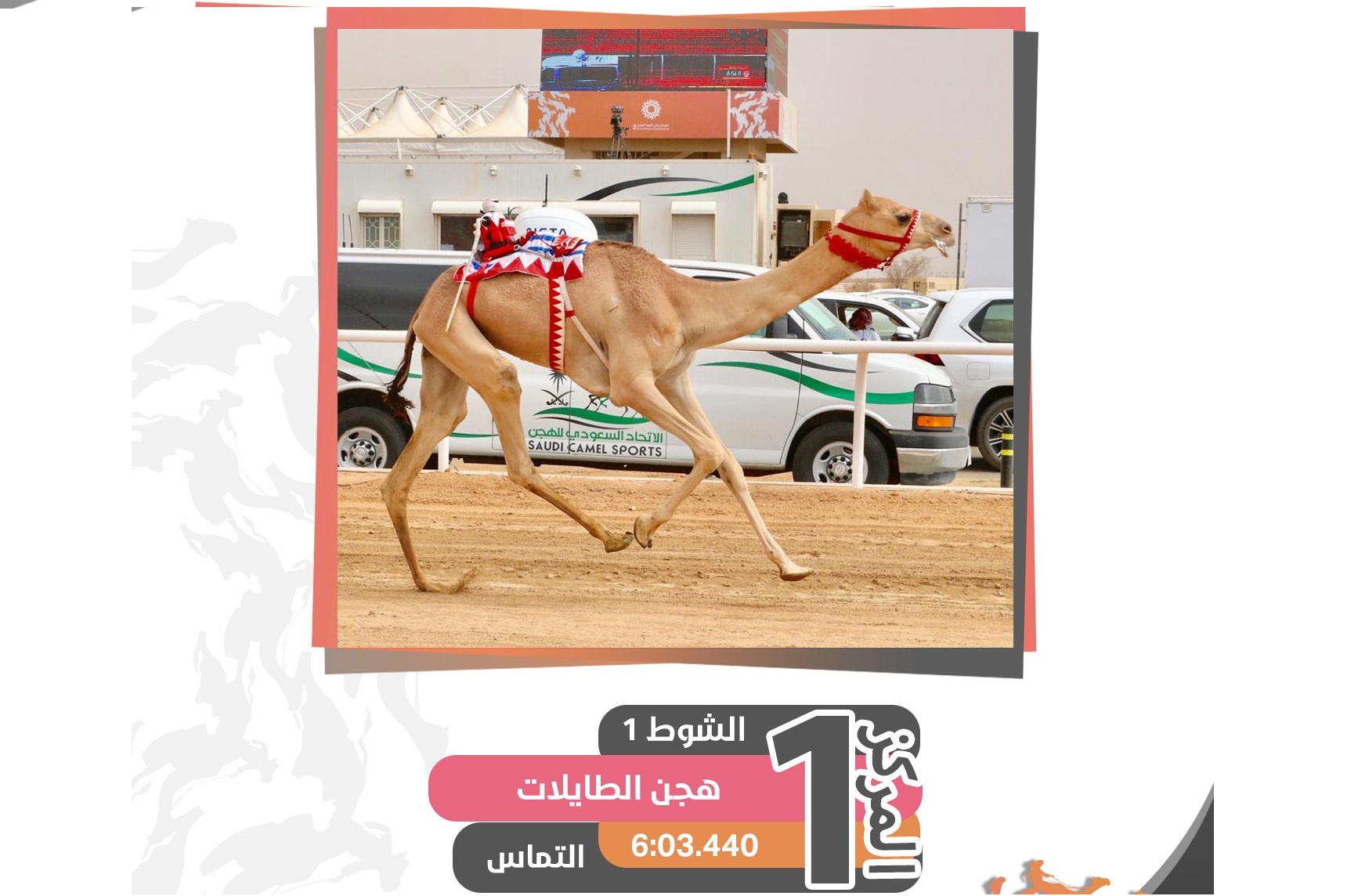 هجن الطايلات وشعار الشيخ ناصر آل خليفه يتوجان برمزي اللقايا مفتوح