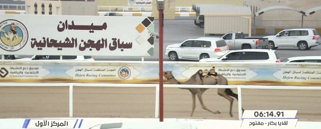 النشيره يسيطر على ناموس اللقايا بكار بأفضل توقيت