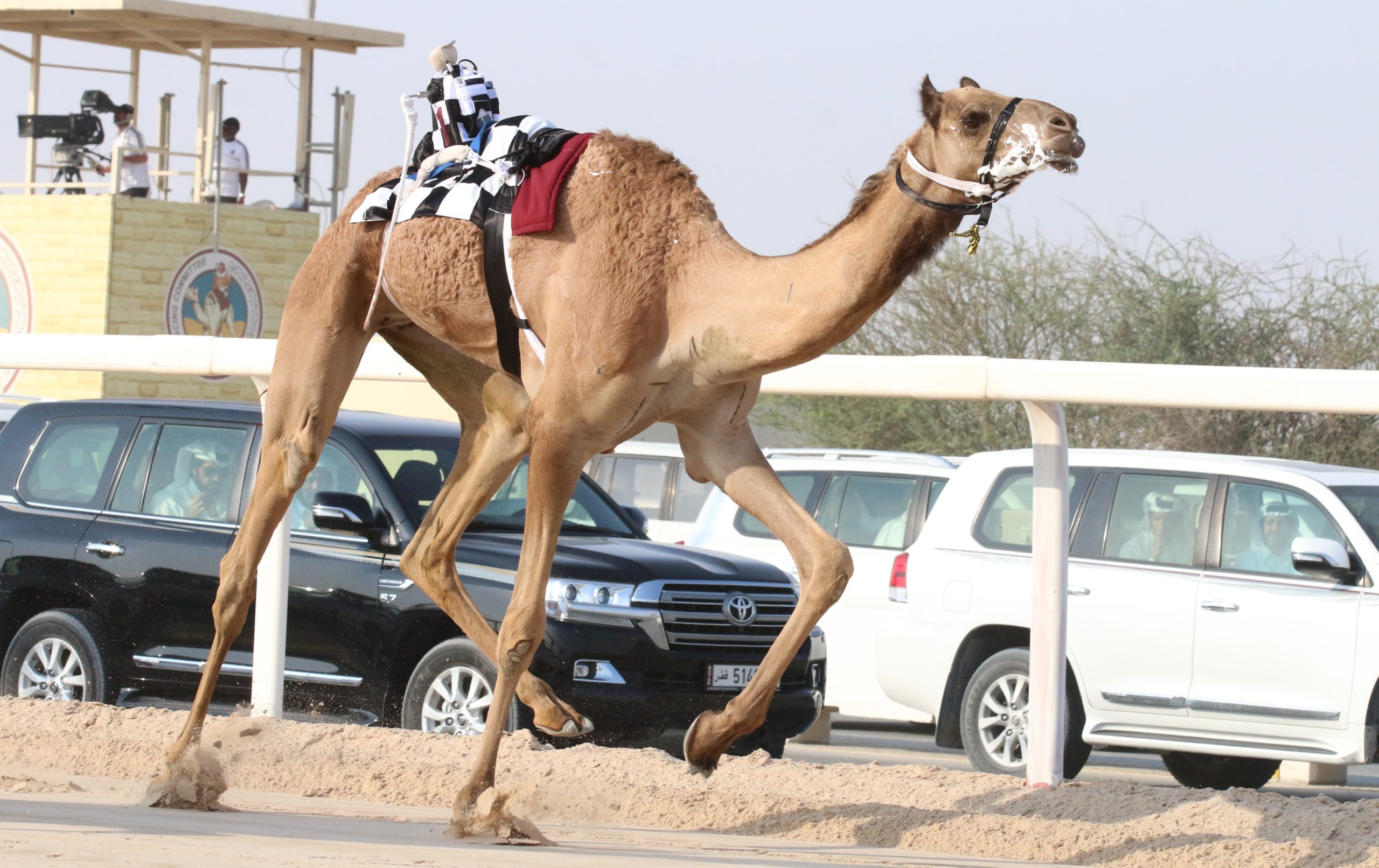 البريص ينتزع سيارة اللقايا بكار بأفضل توقيت.. والبريدي يحسم القعدان