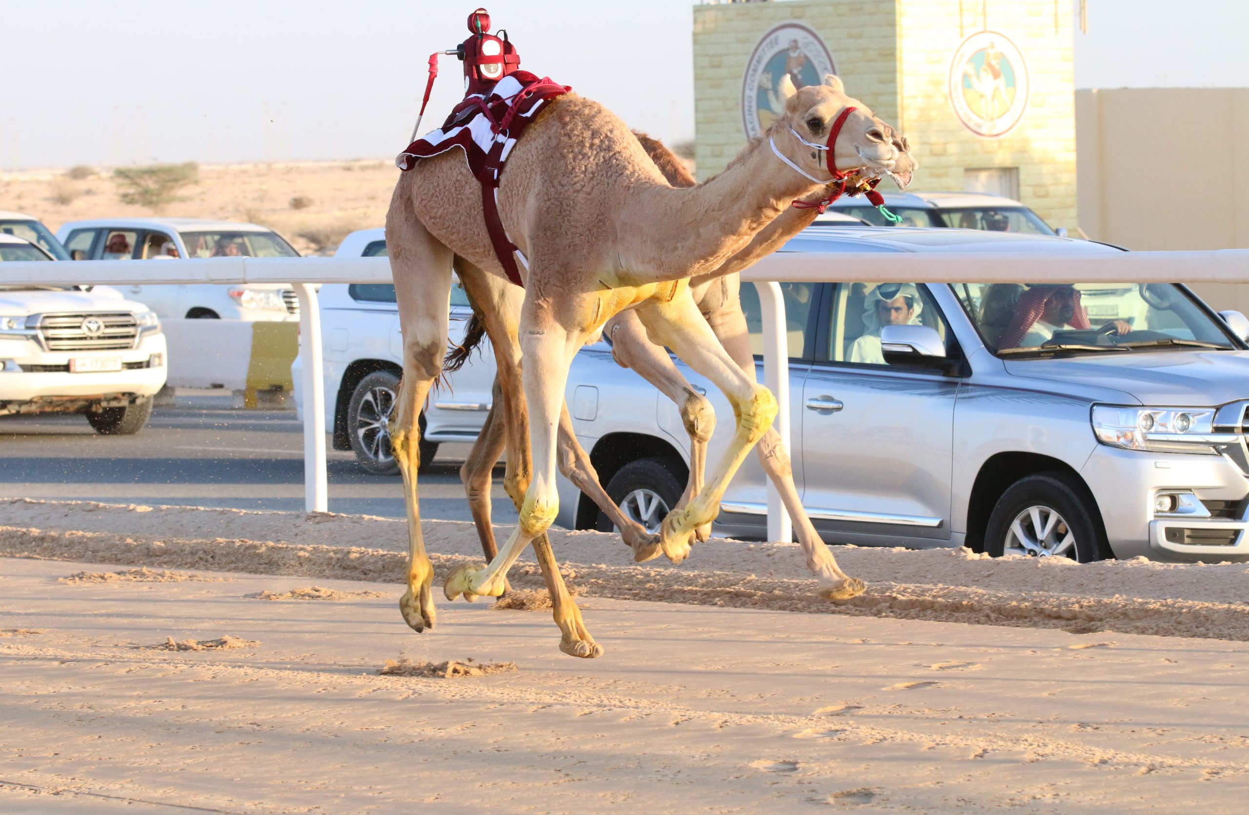 منافسات قوية في ثالث أيام المحلي الرابع