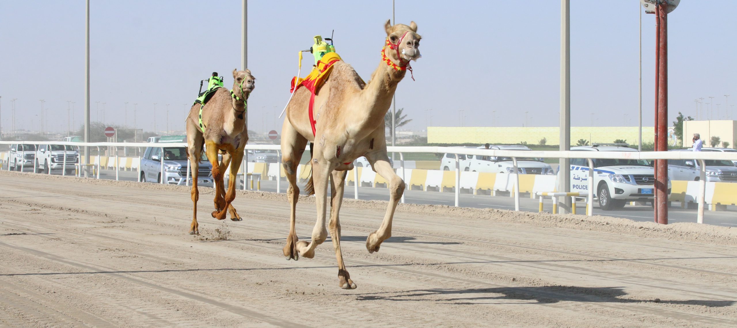 البريدي والعويسي وبن غدير ينتزعون رموز الزمول الفضية