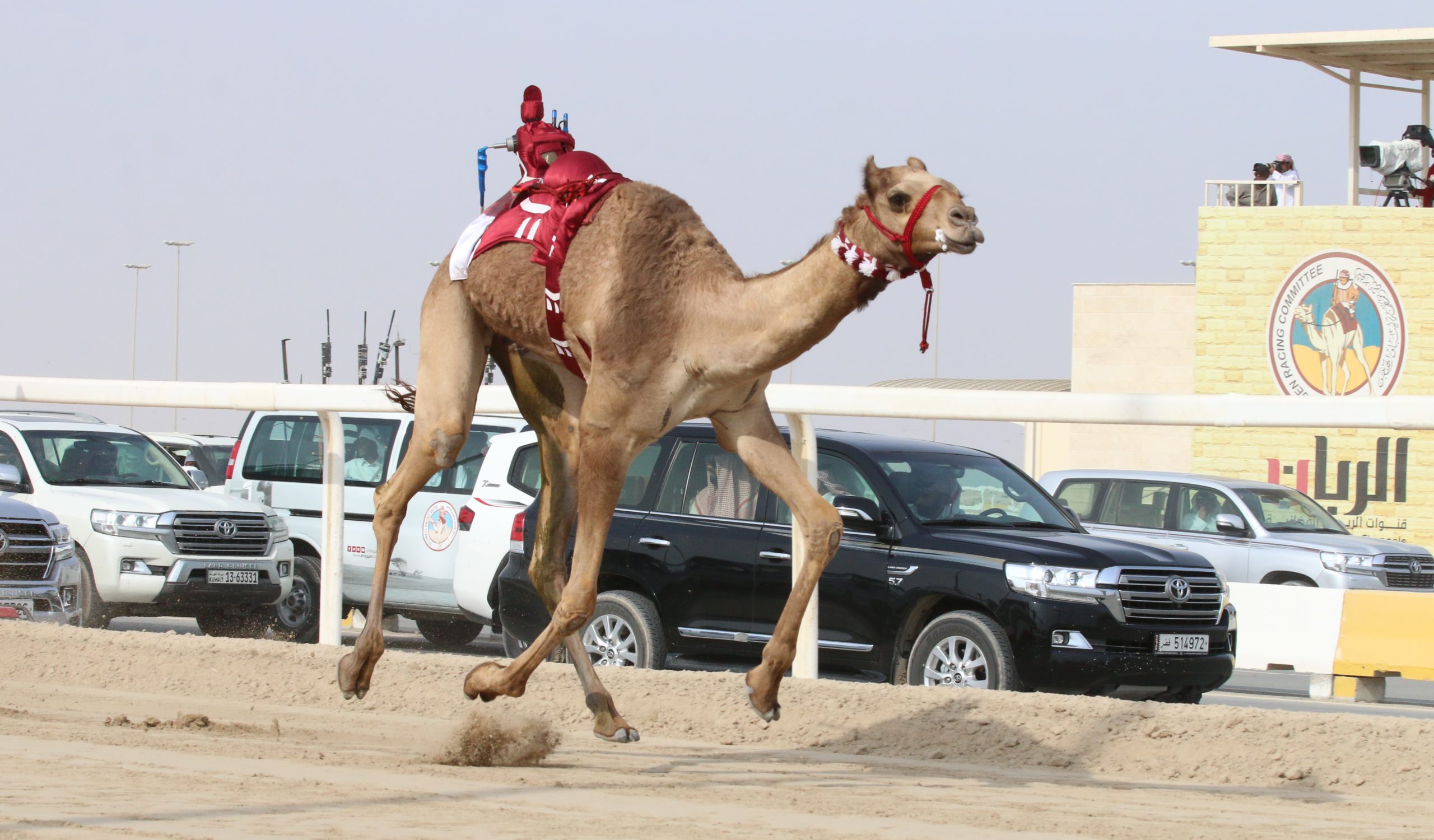 رموز الجذاع الفضية تشعل أجواء ميدان الشحانية