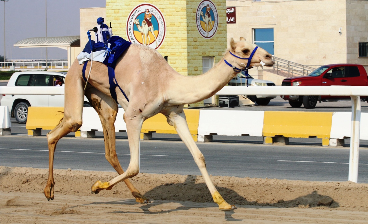 الجذاع شيوخ تختتم المرحلة الأولى من المحلي السابع