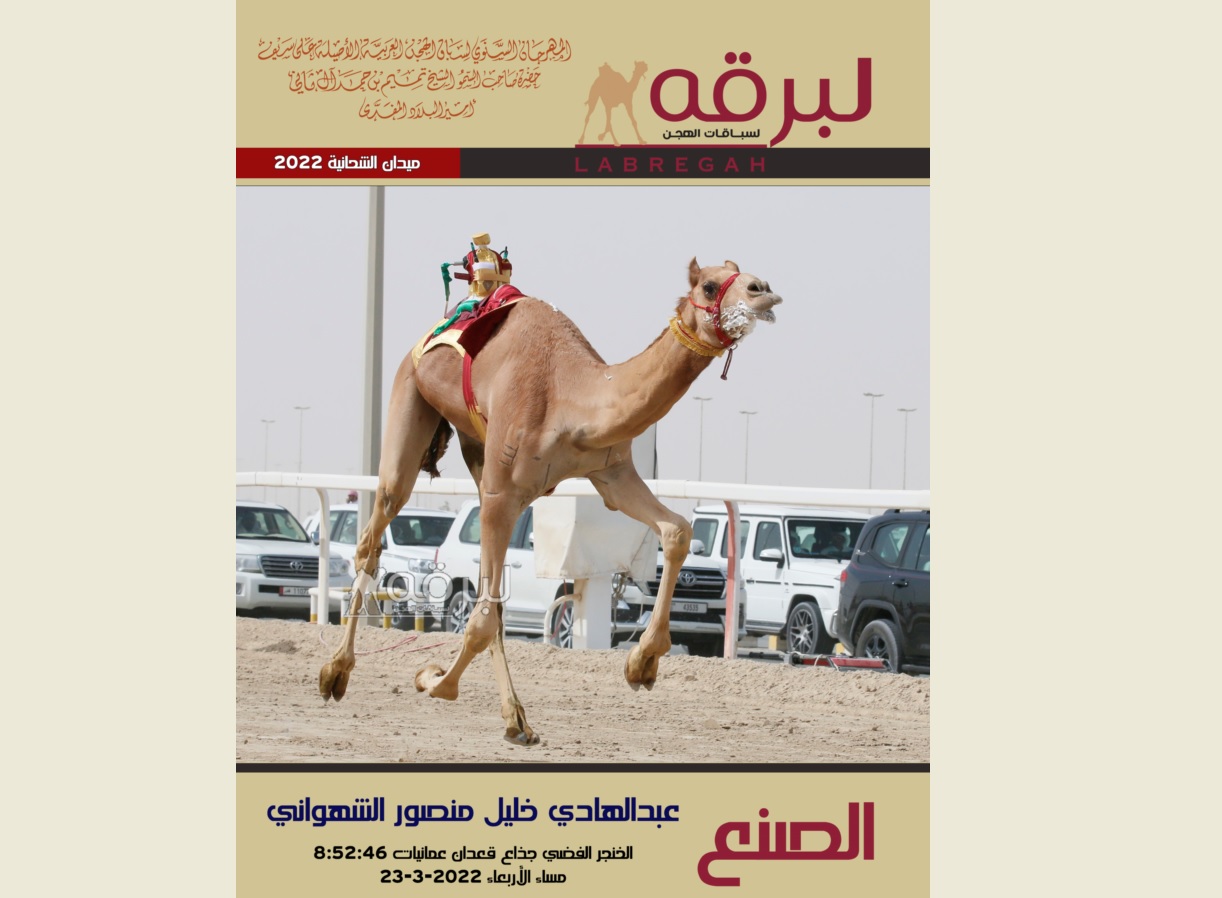 رموز الجذاع تواصل الإمتاع بمهرجان سمو الأمير