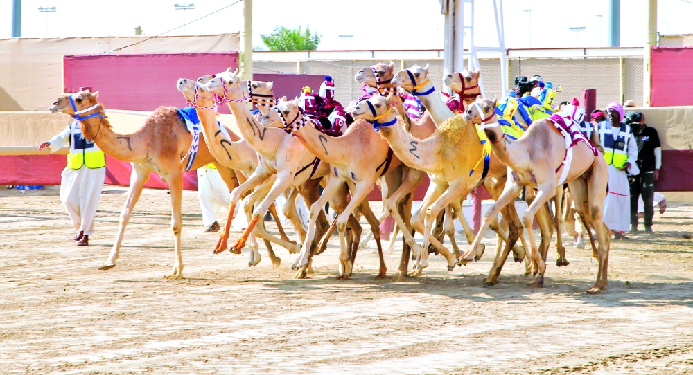 التسجيل للسباق التمهيدي الصيفي الرابع للمفاريد يبدأ الثلاثاء