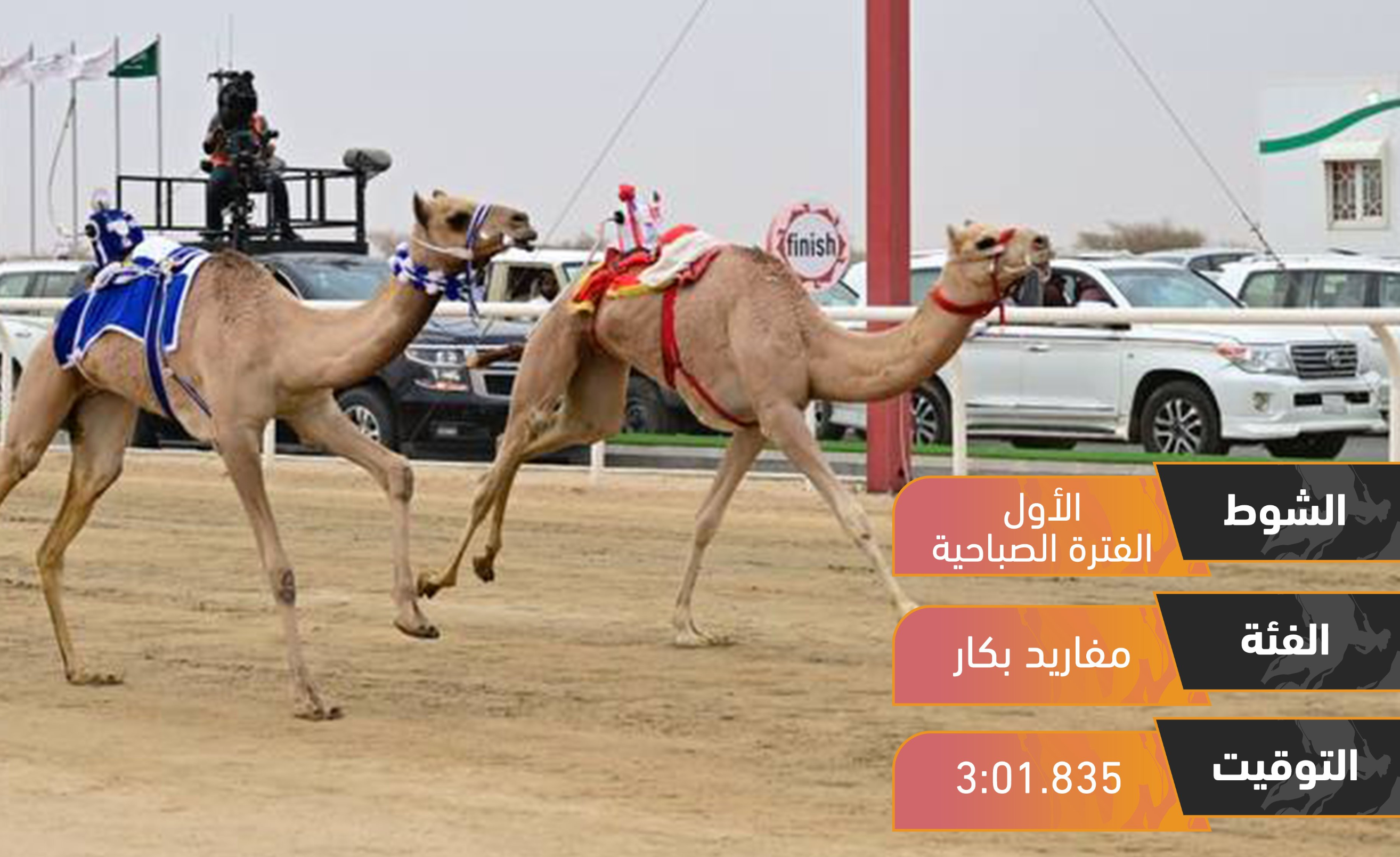 اليامي والعنزي يفتتحان منافسات اليوم الثالث من مهرجان ولي عهد السعودية للهجن