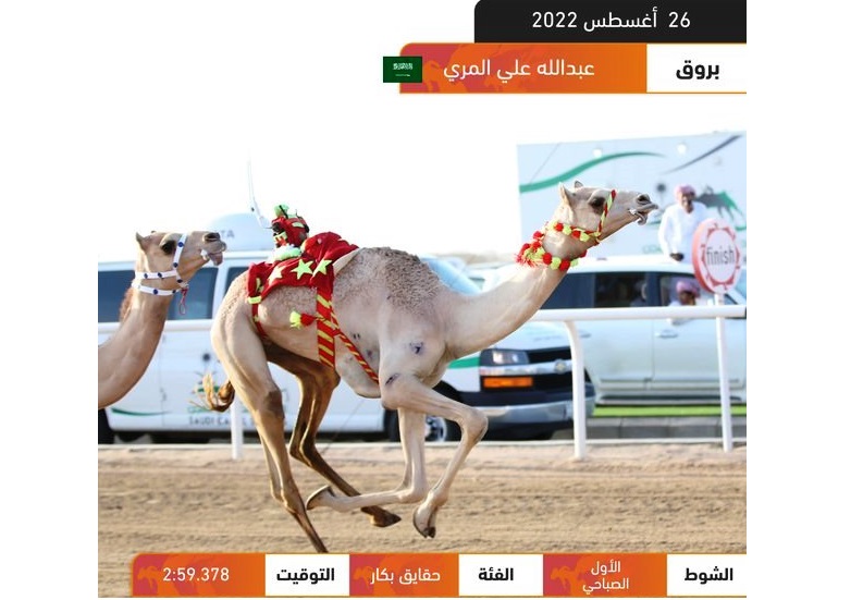 “بروق” تمنح عبدالله المري ناموس الحقايق بكار بأفضل توقيت