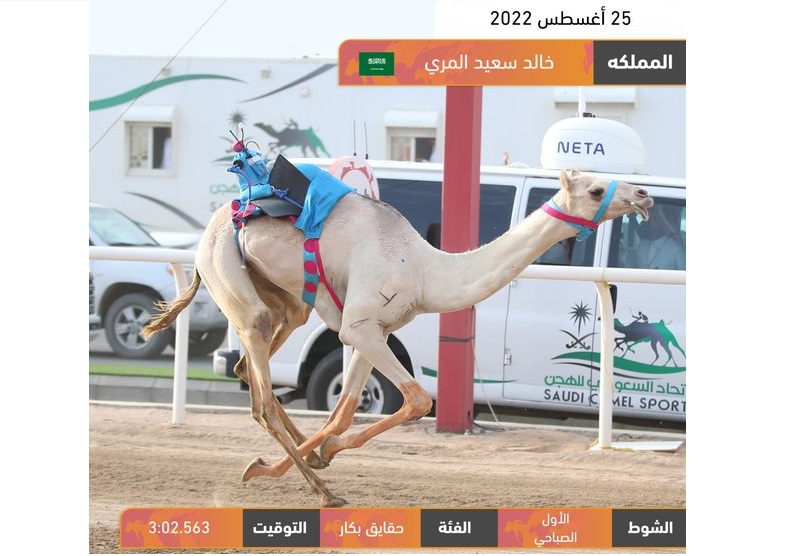“المملكة” تهدي الفهيده ناموس الحقايق بكار.. والعنزي يخطف صدارة القعدان بأفضل توقيت
