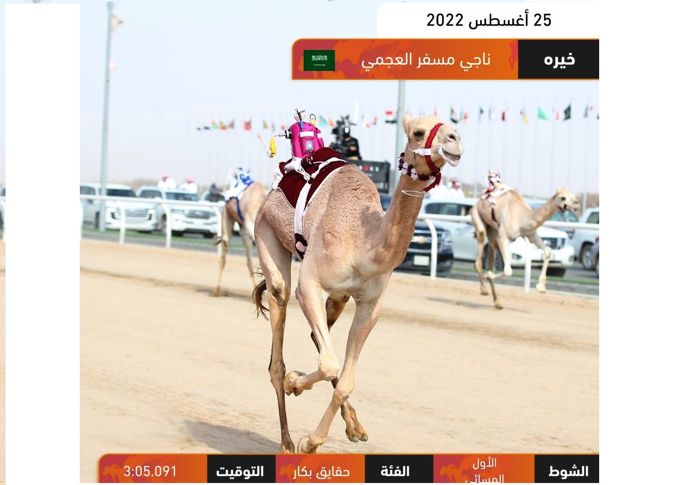 العجمي والجهني يحلقان بناموسي الحقايق بكار وقعدان في الطائف