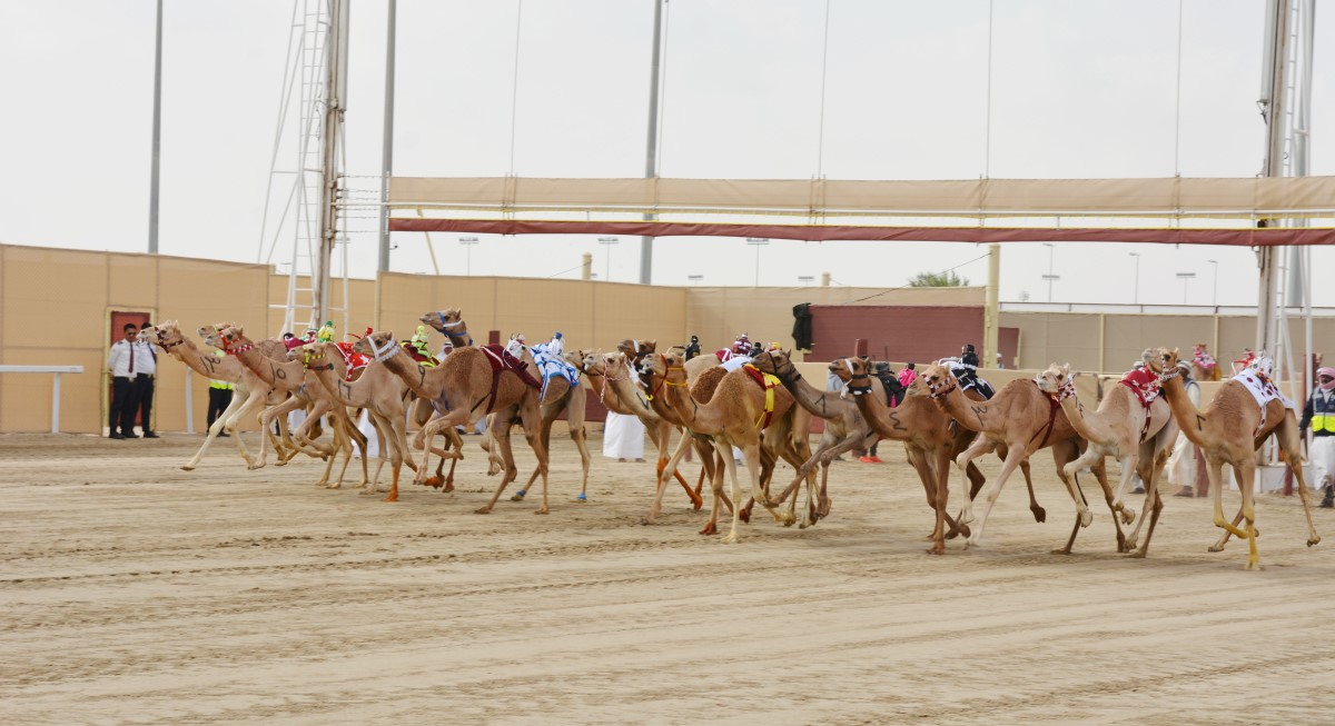 التسجيل للمحلي الثالث يبدأ السبت القادم