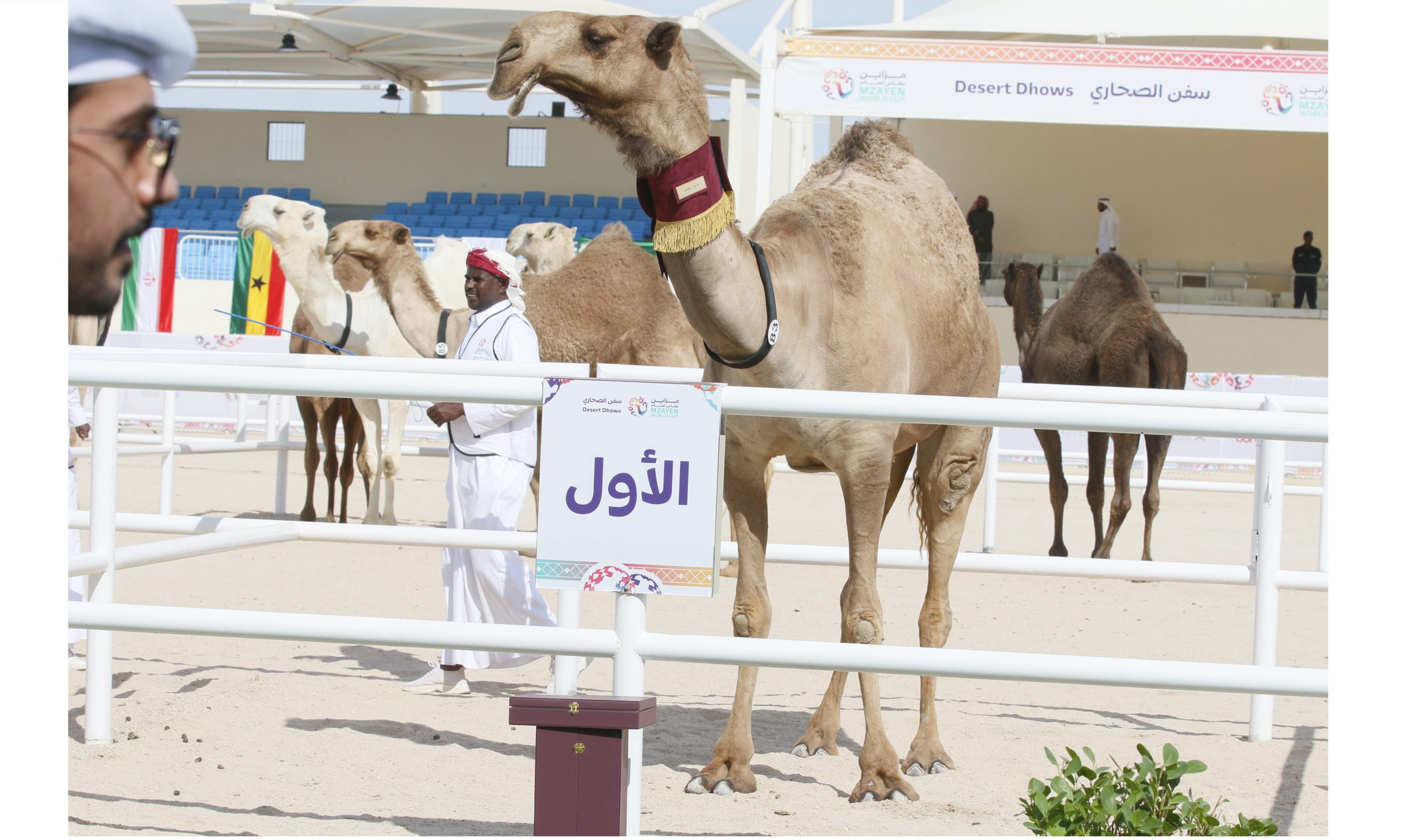 العنزي يحصد الكأس الذهبية للـجل.. والقحطاني يتوج بالفضية