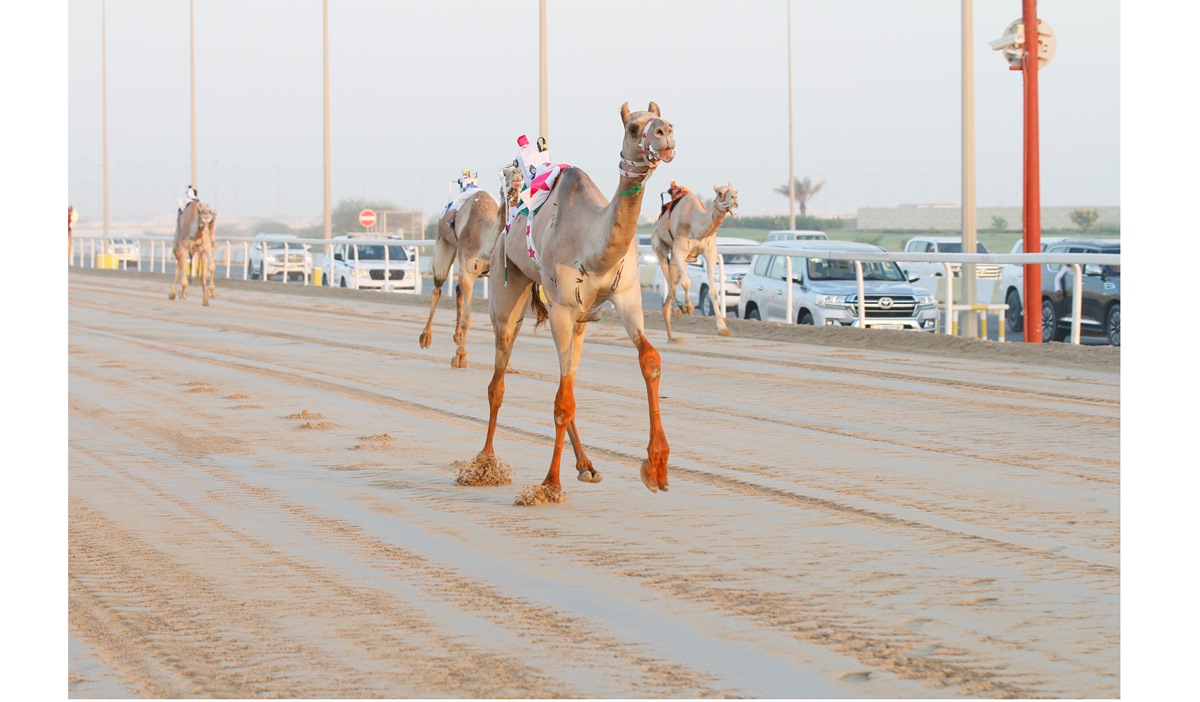 تحديات الكبار تشعل الأجواء المونديالية بميدان الشحانية