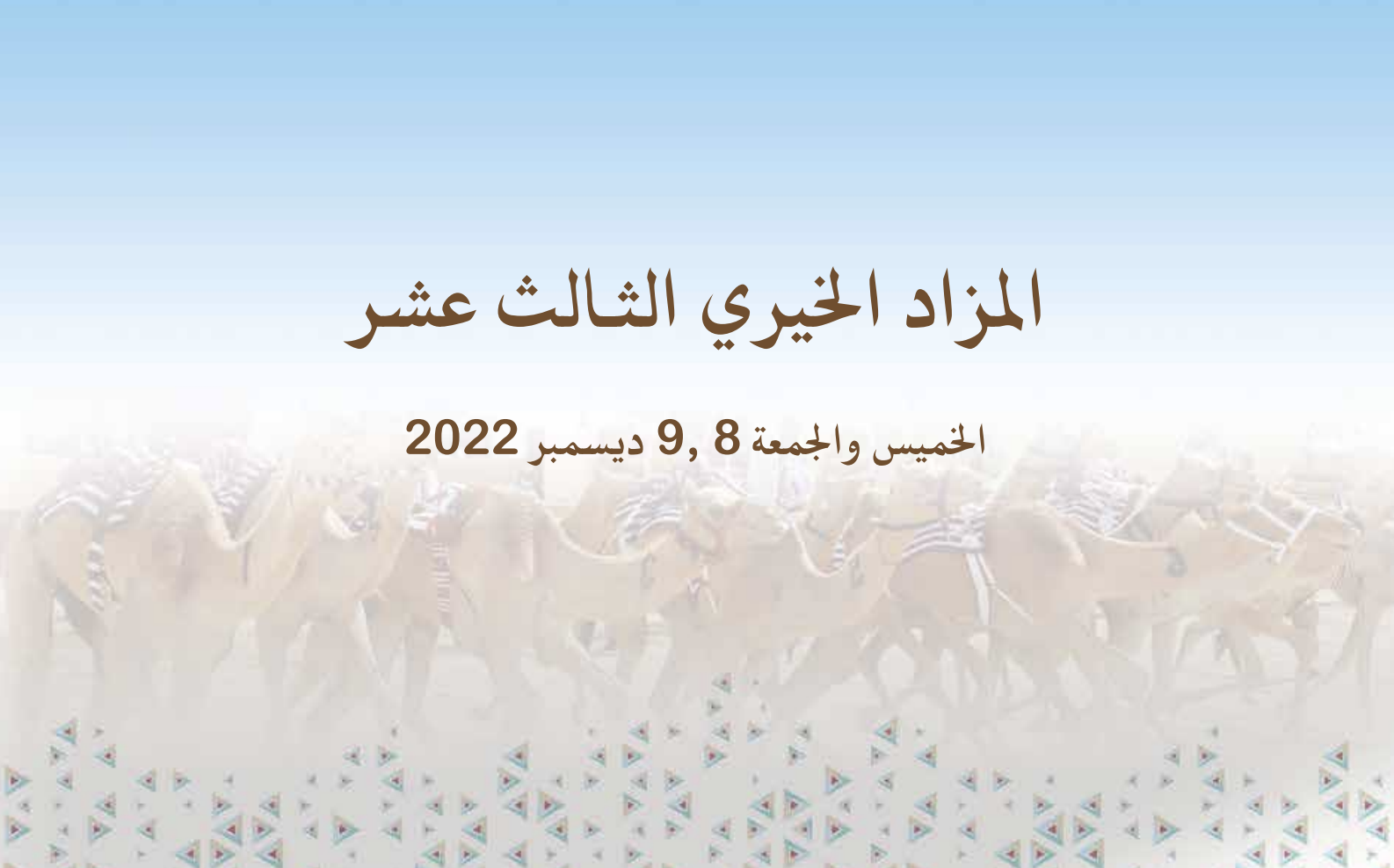 71 مطية طُرحت بالمزاد الخيري الثالث عشر بالشحانية