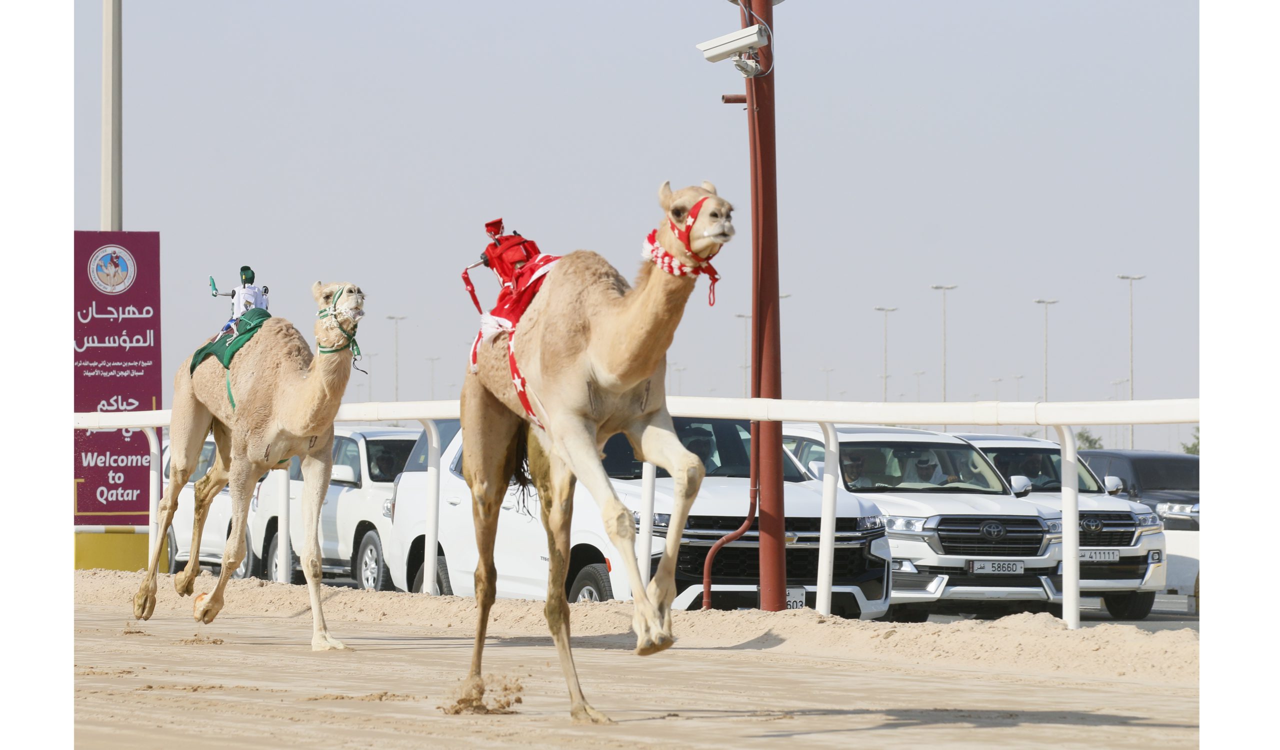 تحديات قوية على رموز اللقايا الفضية في ثالث أيام مهرجان المؤسس