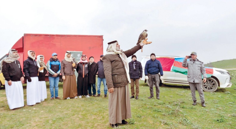 «القناص» تختتم حملة إرجاع الصقور إلى الطبيعة