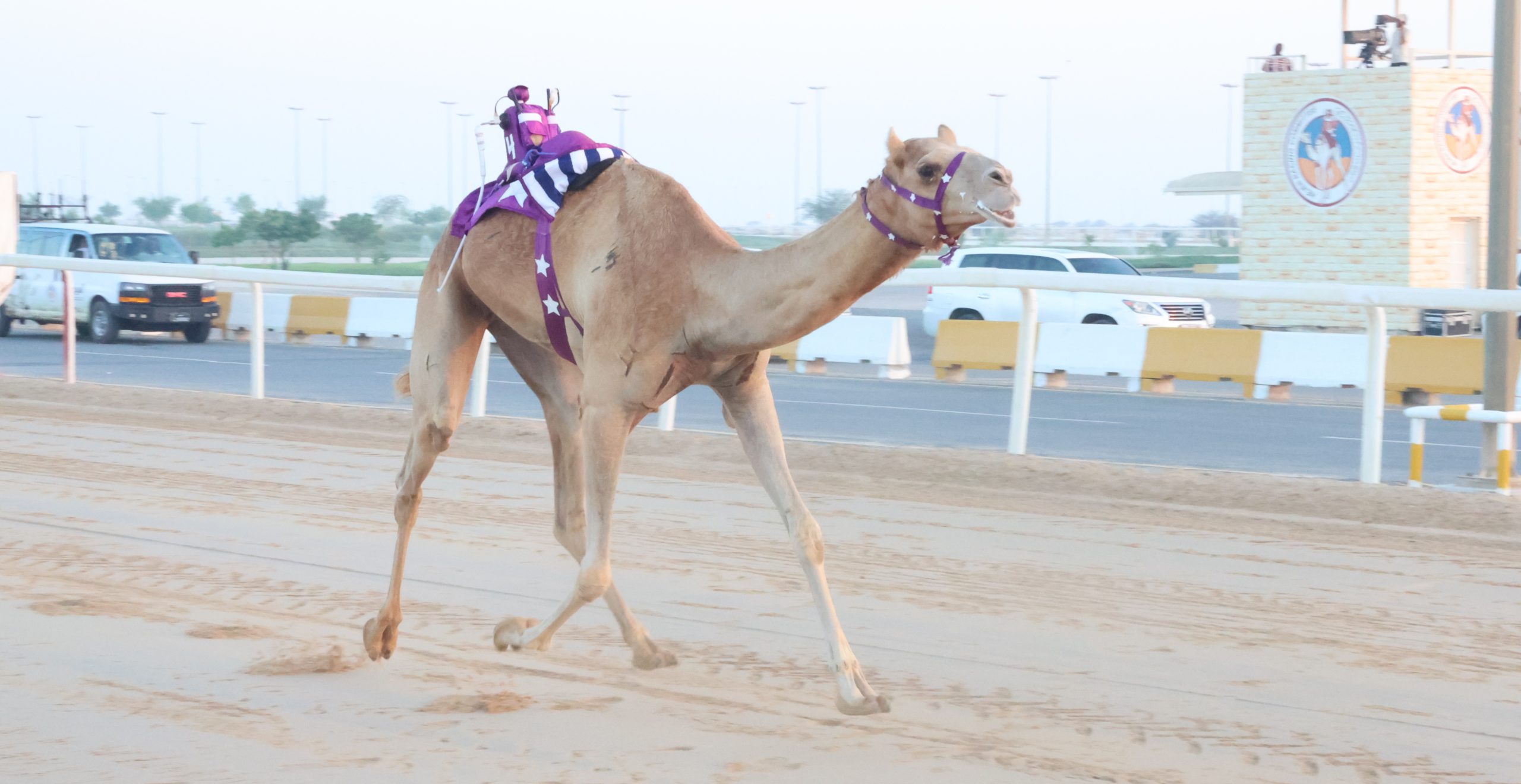 الدوسري والعاض ينتزعان أقوى نواميس الحيل والزمول بالمحلي الثالث