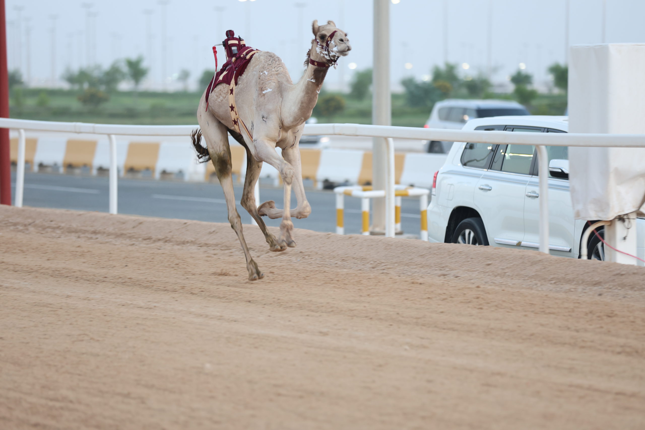 تحديات قوية على صدارة أشواط الثنايا العامة