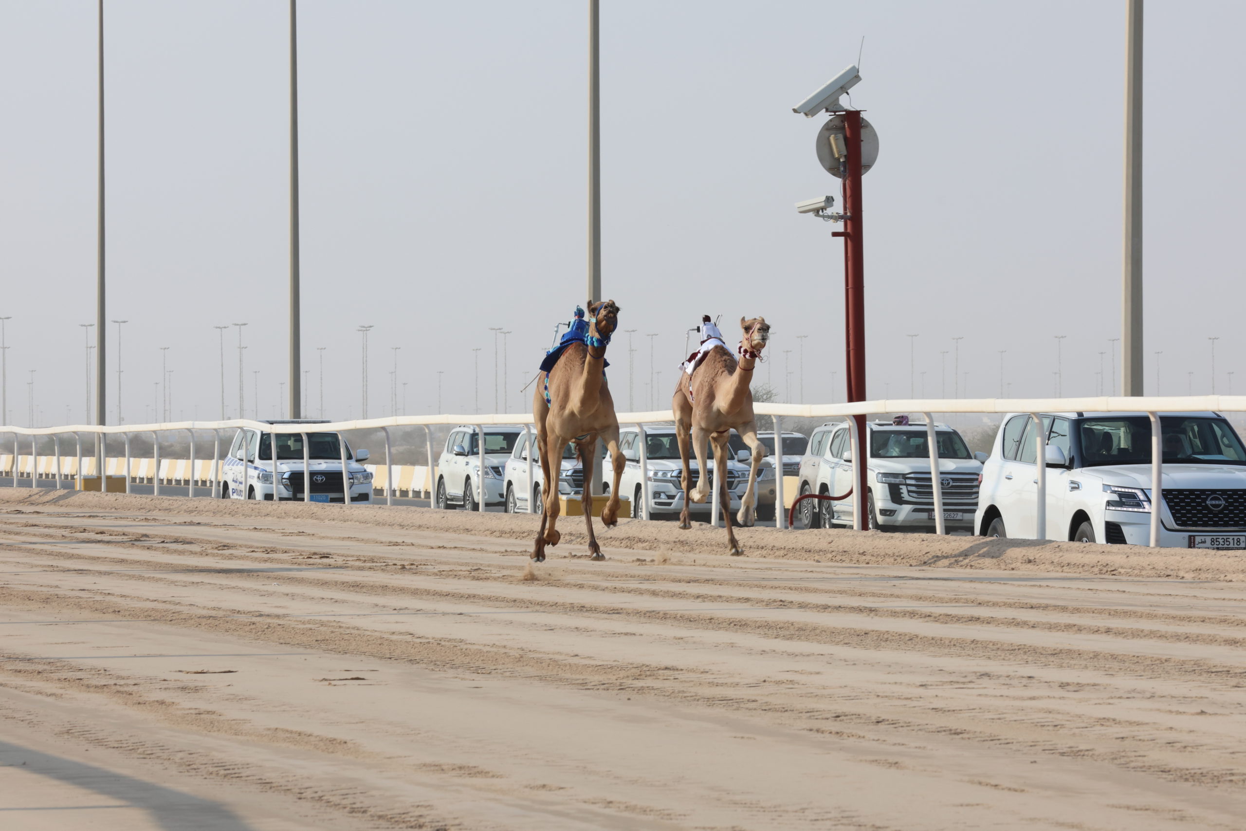 سيارات الحقايق تشعل أجواء ميدان التحدي