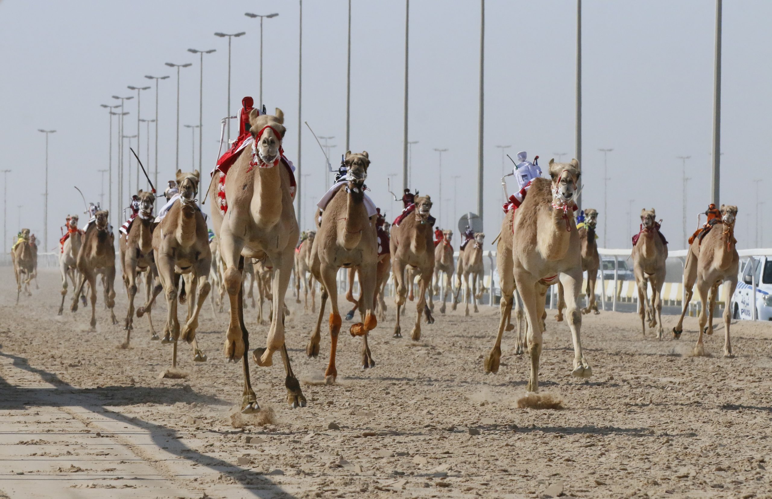 فتح التسجيل لمهرجان المؤسس 2023 بداية من الأحد القادم