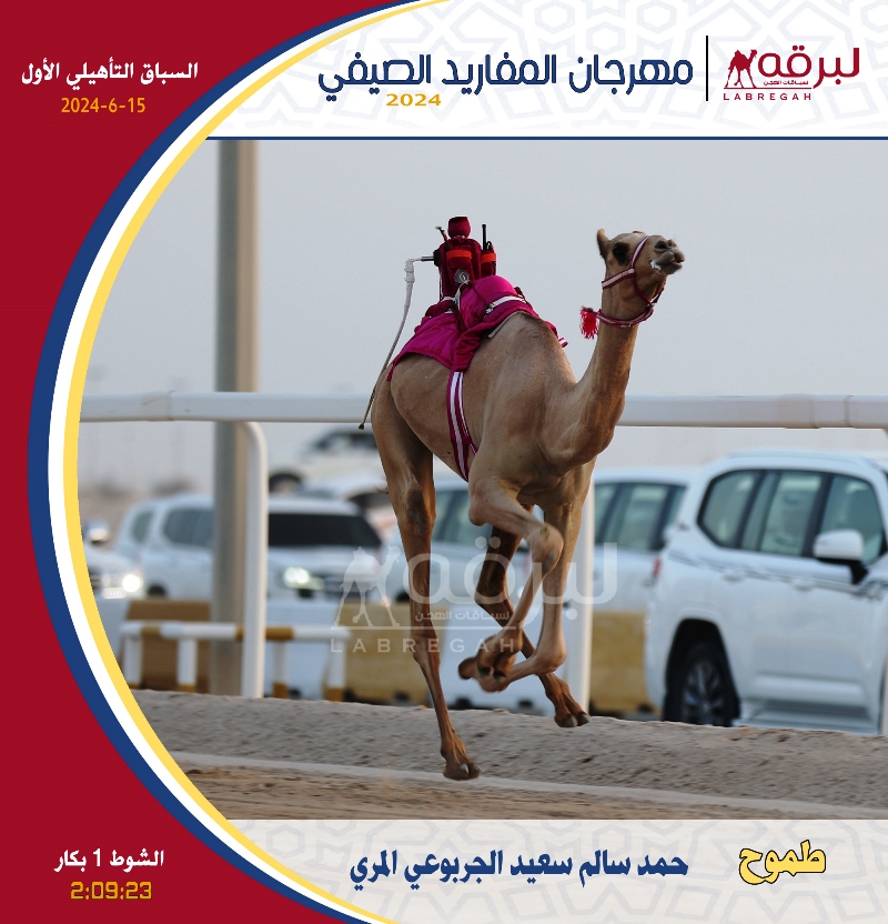 انطلاقة قوية لمهرجان المفاريد الصيفي 2024