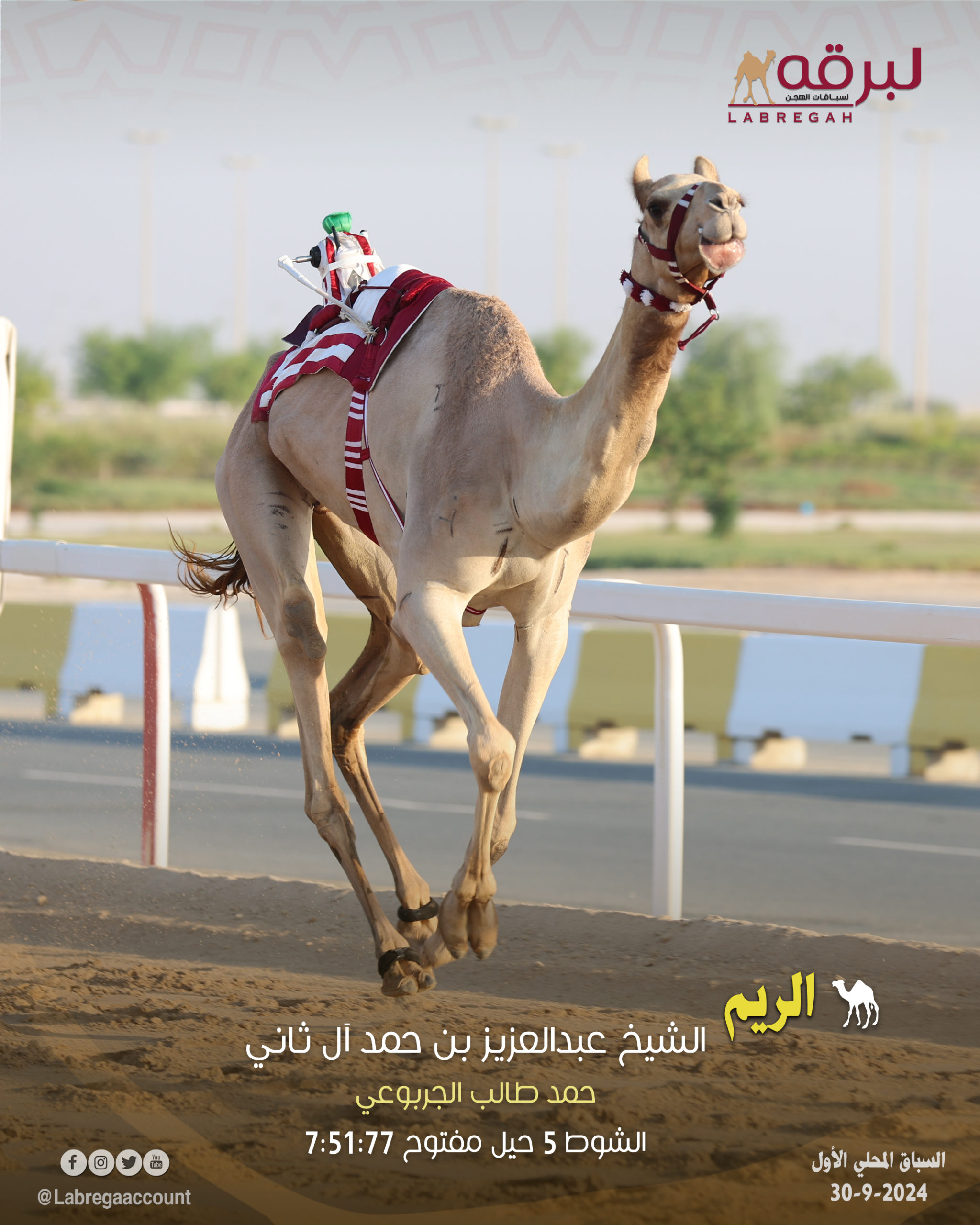 أرقام وإحصائيات المحلي الأول