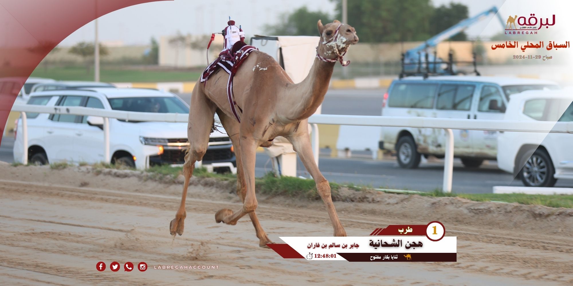 “طرب” و”أدهم” يمنحان هجن الشحانية ناموسي الثنايا بالمحلي الخامس