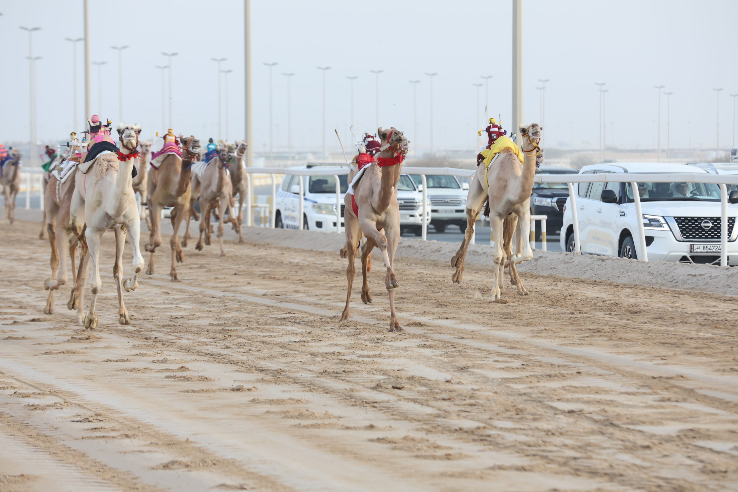 التأهيلي الثاني يشعل الأجواء في ميدان التحدي