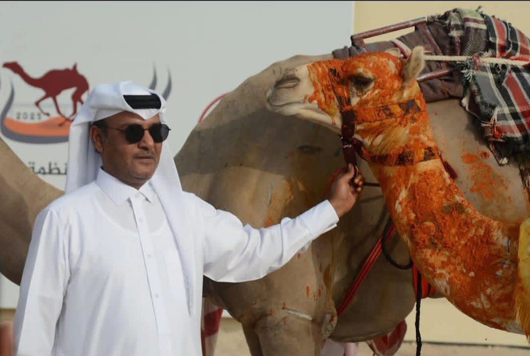 أحمد عيسى الكعبي: «الهلالي» أهدانا أغلى النواميس