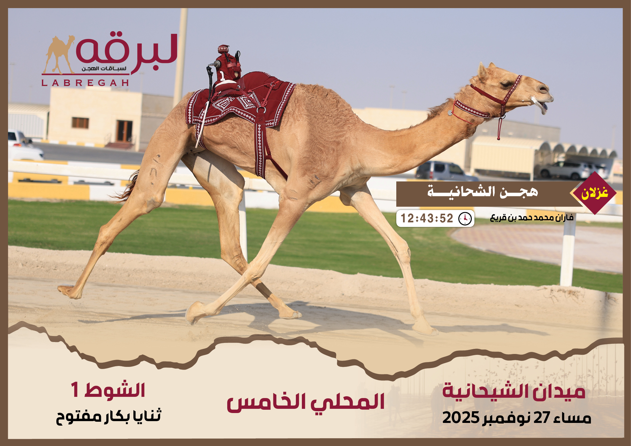 فاران بن قريع يقود هجن الشحانية للظفر بناموسي الثنايا