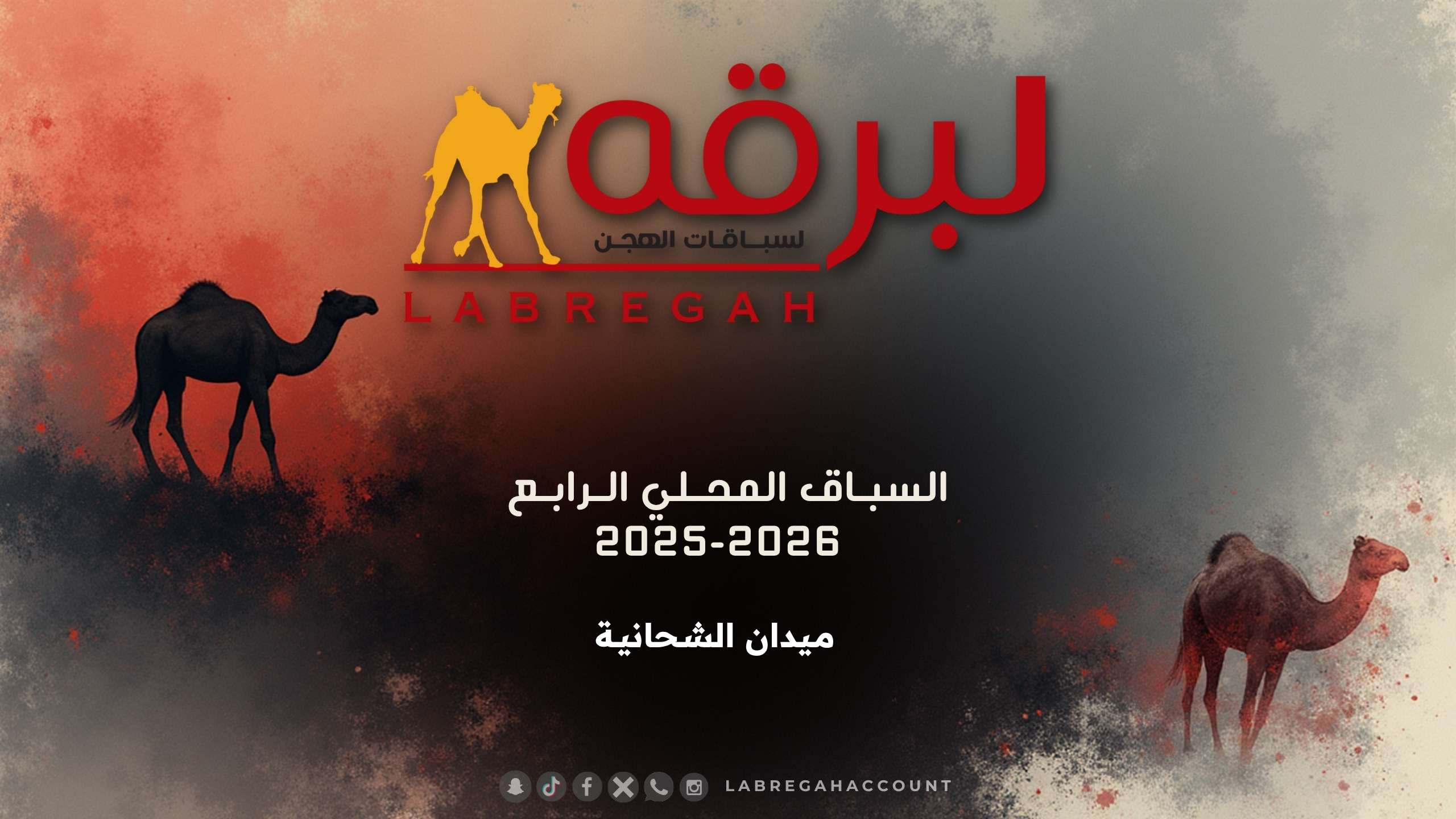 ش5 الظبي لـ منصور محمد منصور آل سيف الخيارين (السباق المحلي الرابع 08-11-2025م) حيل مفتوح 9:34:74