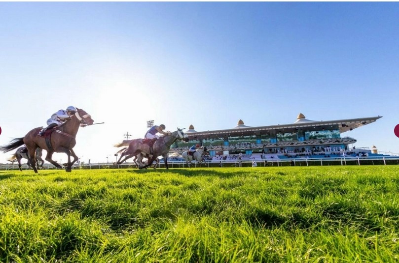 اليوم سباق الشيخ جوعان بن حمد للخيل